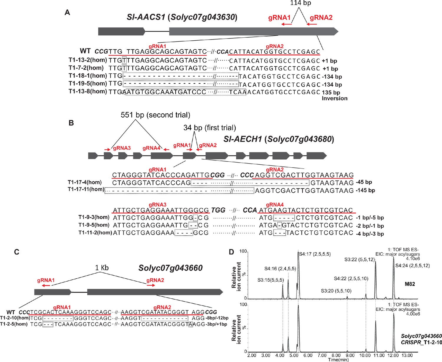 Figures and data in Evolution of a plant gene cluster in Solanaceae and ...