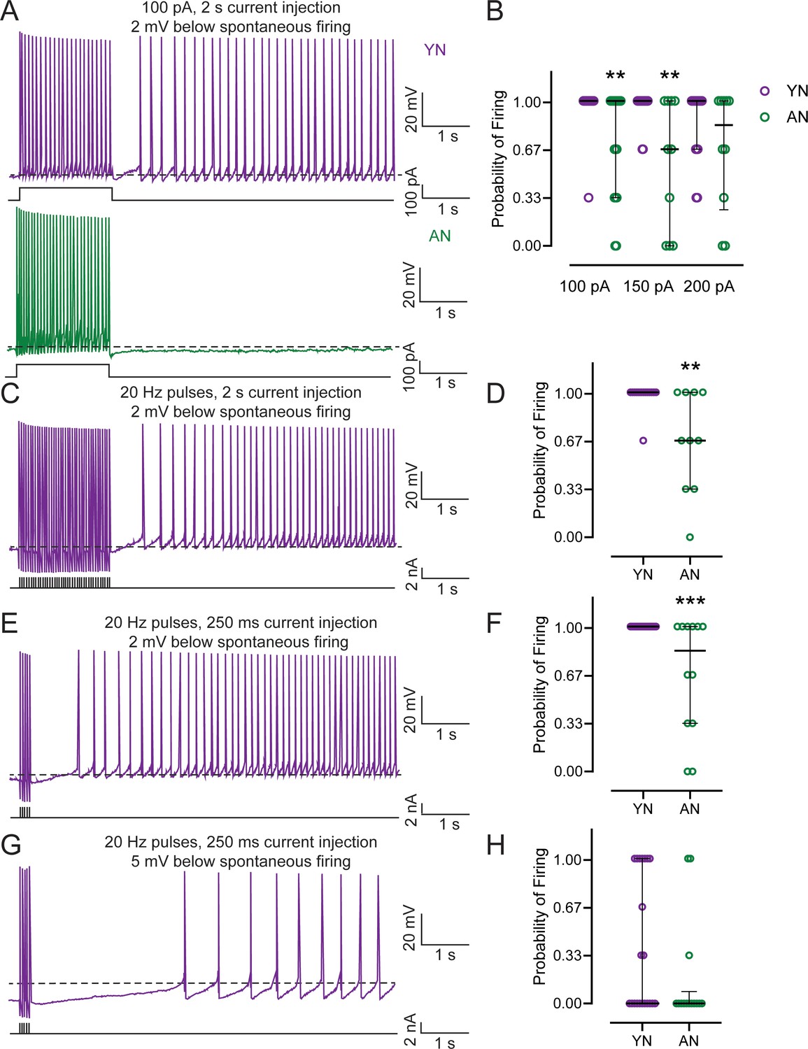 Figures And Data In Persistent Firing In Lec Iii Neurons Is