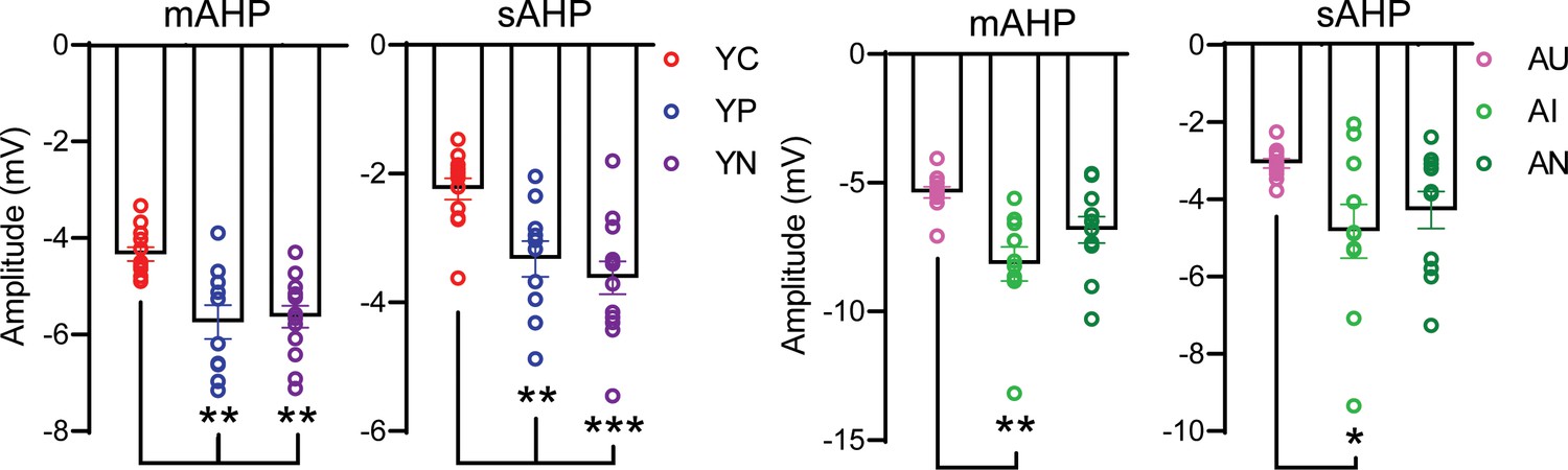 Figures And Data In Persistent Firing In Lec Iii Neurons Is