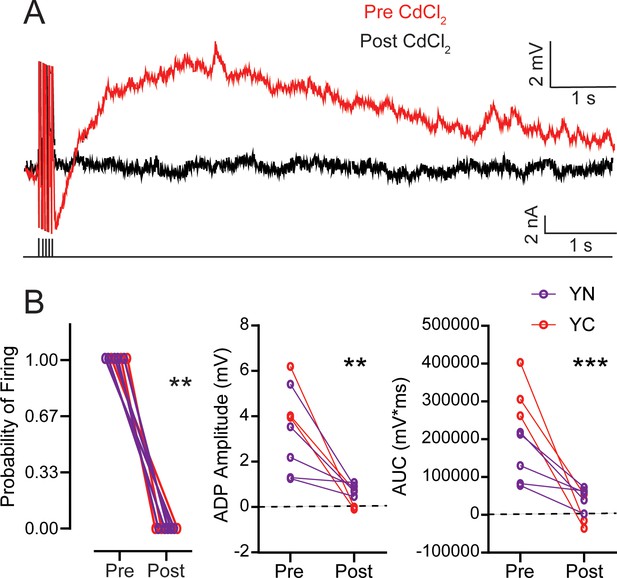 Figures And Data In Persistent Firing In Lec Iii Neurons Is