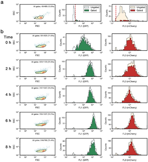 Figures And Data In Optogenetic Control Of Gut Bacterial Metabolism To ...