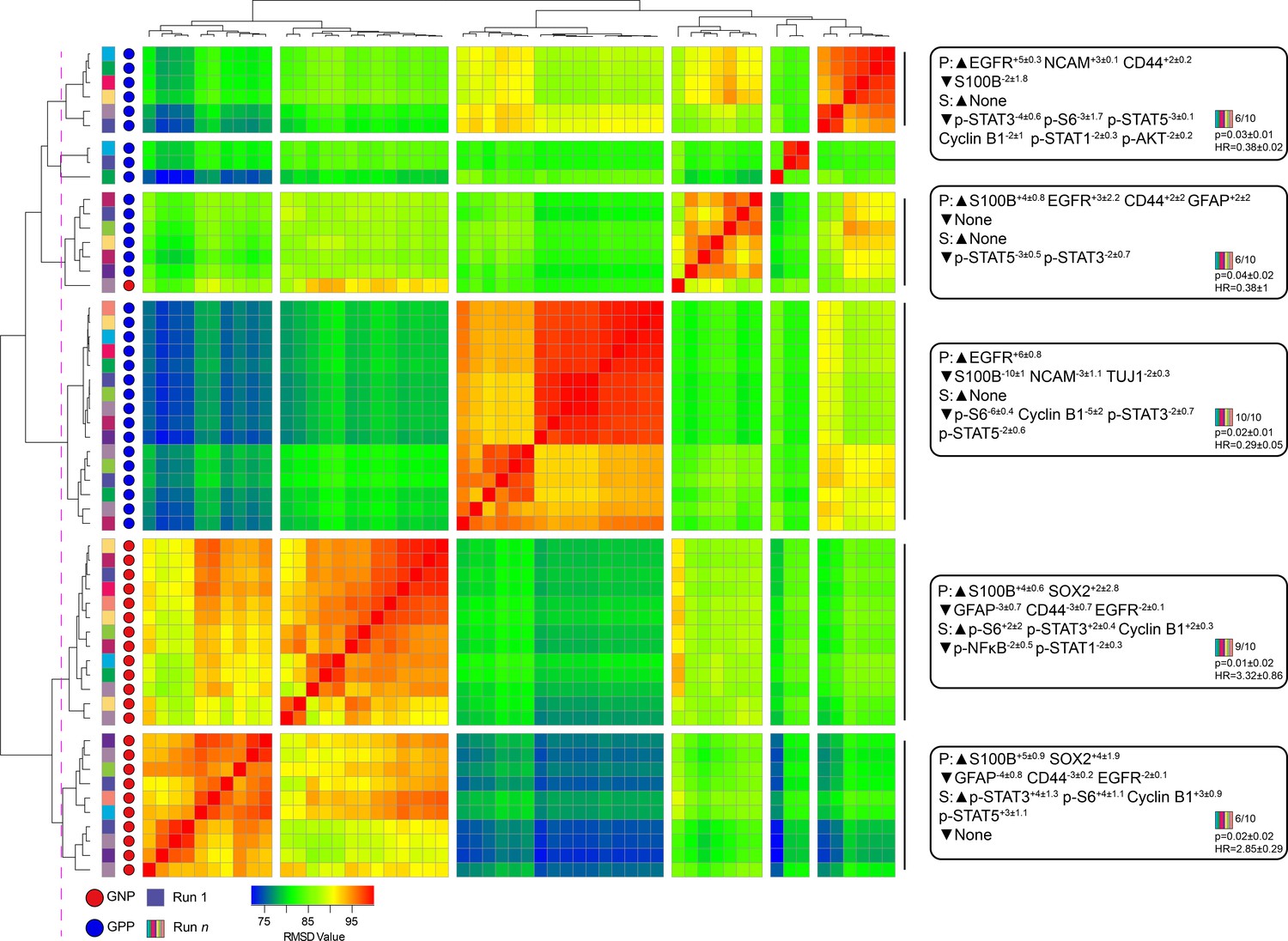 Unsupervised machine learning reveals risk stratifying