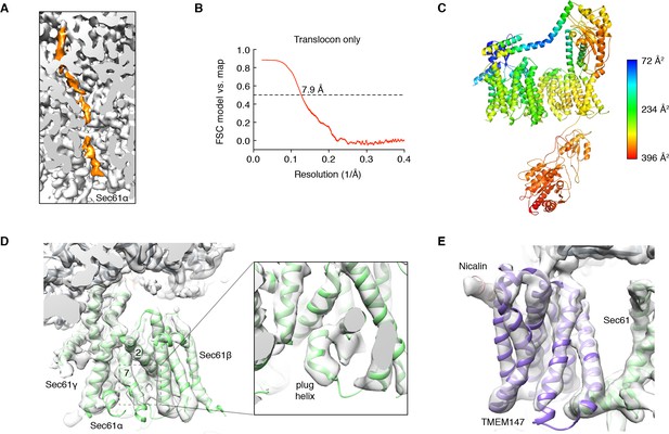 Figures and data in An ER translocon for multi-pass membrane protein ...