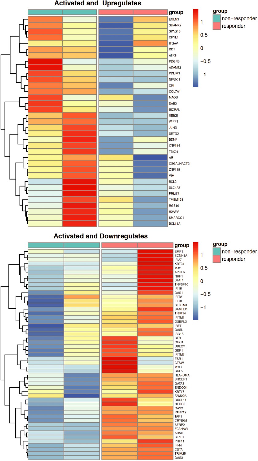 Figures And Data In Three Dimensional Growth Of Breast Cancer Cells