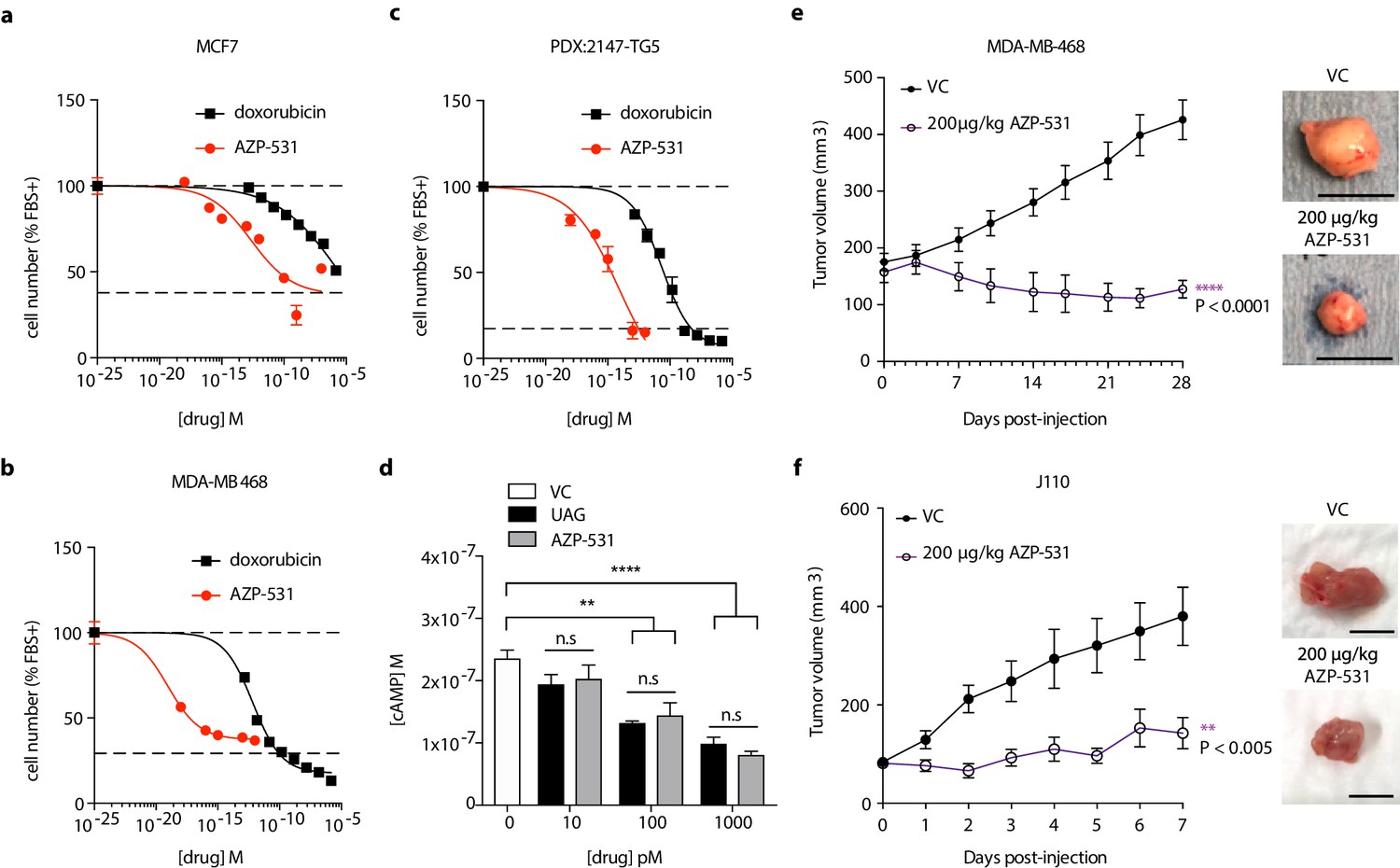 Figures And Data In Three Dimensional Growth Of Breast Cancer Cells