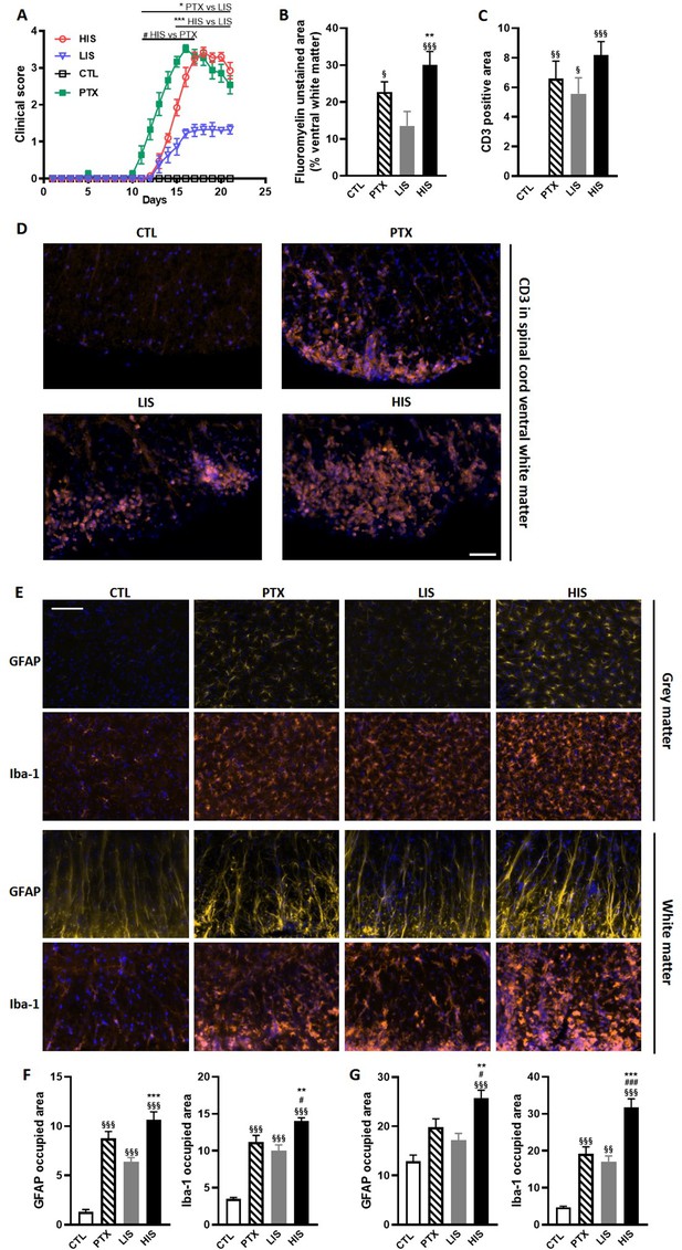 Mirna Profile Is Altered In A Modified Eae Mouse Model Of Multiple