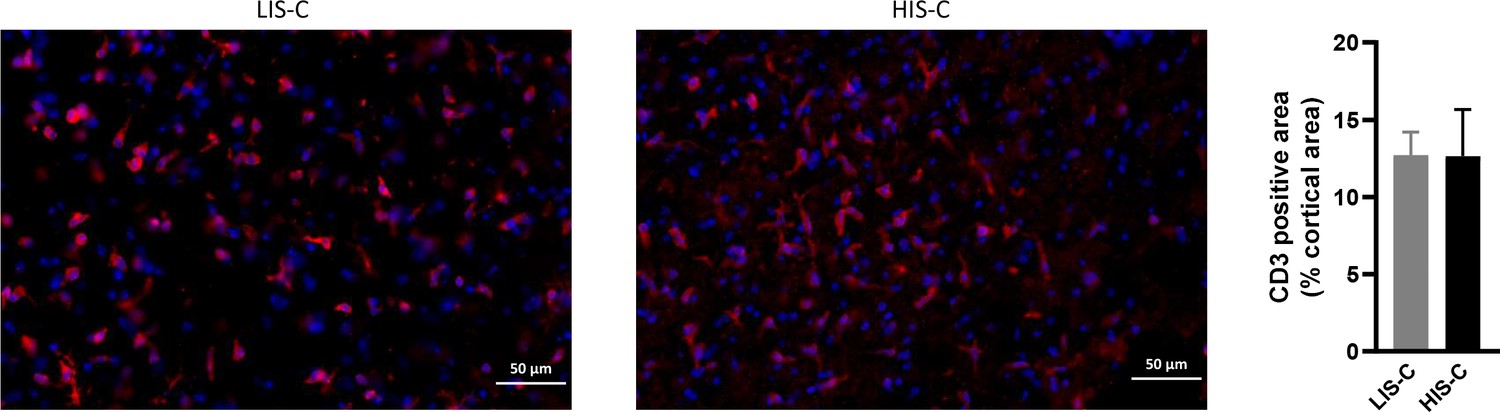 miRNA profile is altered in a modified EAE mouse model of miRNA profile is altered in a modified EAE mouse model of