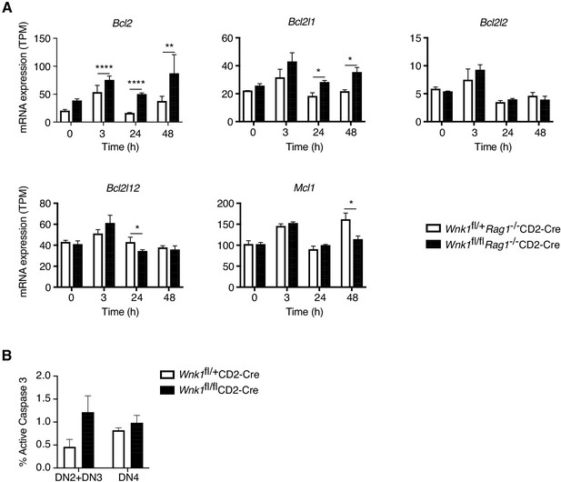 Figures and data in Critical role of WNK1 in MYC-dependent early mouse ...