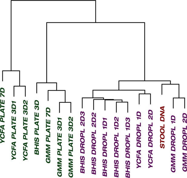 Droplet-based High-throughput Cultivation For Accurate Screening Of ...