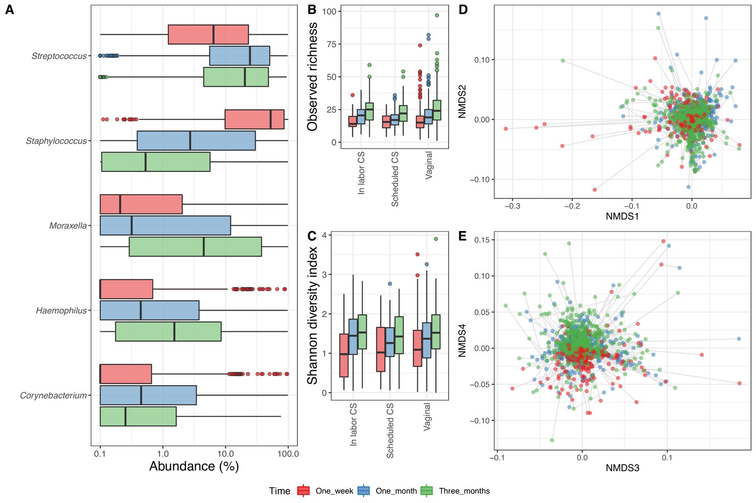 Modeling transfer of vaginal microbiota from mother to