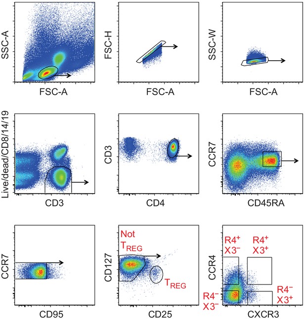 Figures and data in Functionally specialized human CD4+ T-cell subsets ...