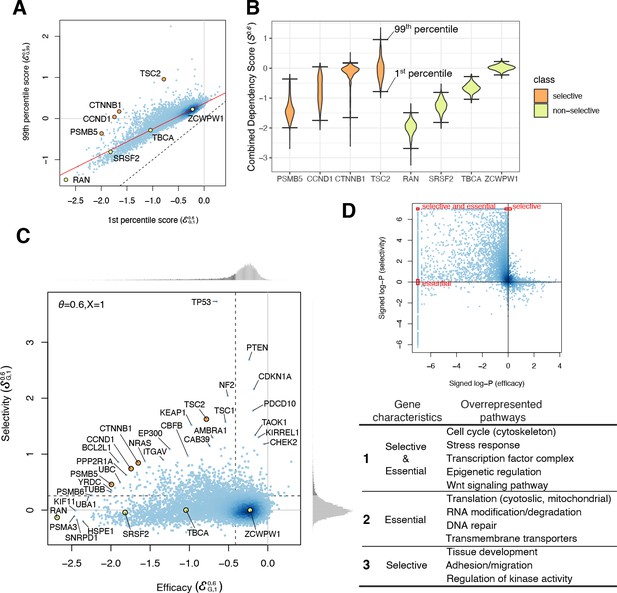 shinyDepMap, a tool to identify targetable cancer genes and their ...