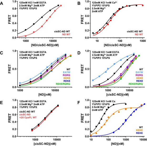 Ca2+-dependent release of synaptotagmin-1 from the SNARE complex on ...