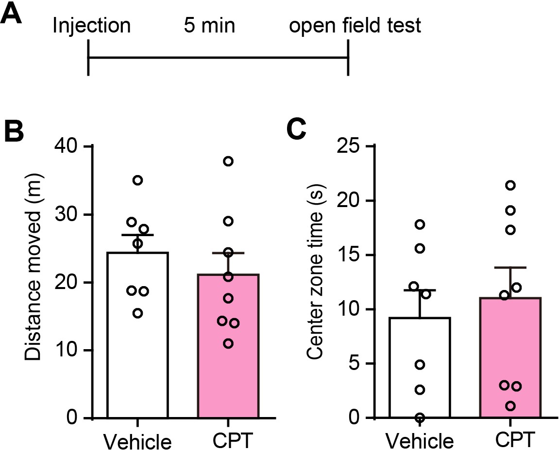 Figures And Data In Activation Of Astrocytes In Hippocampus Decreases