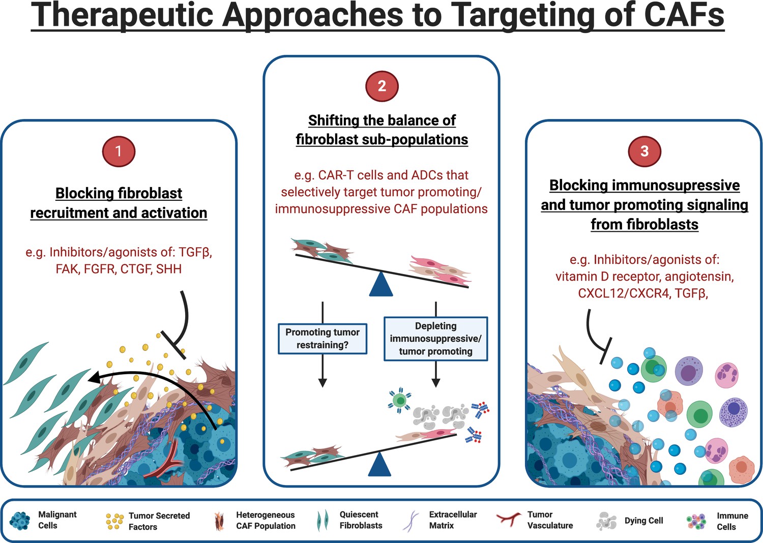 Figures And Data In Cancer-associated Fibroblasts And Their Influence ...