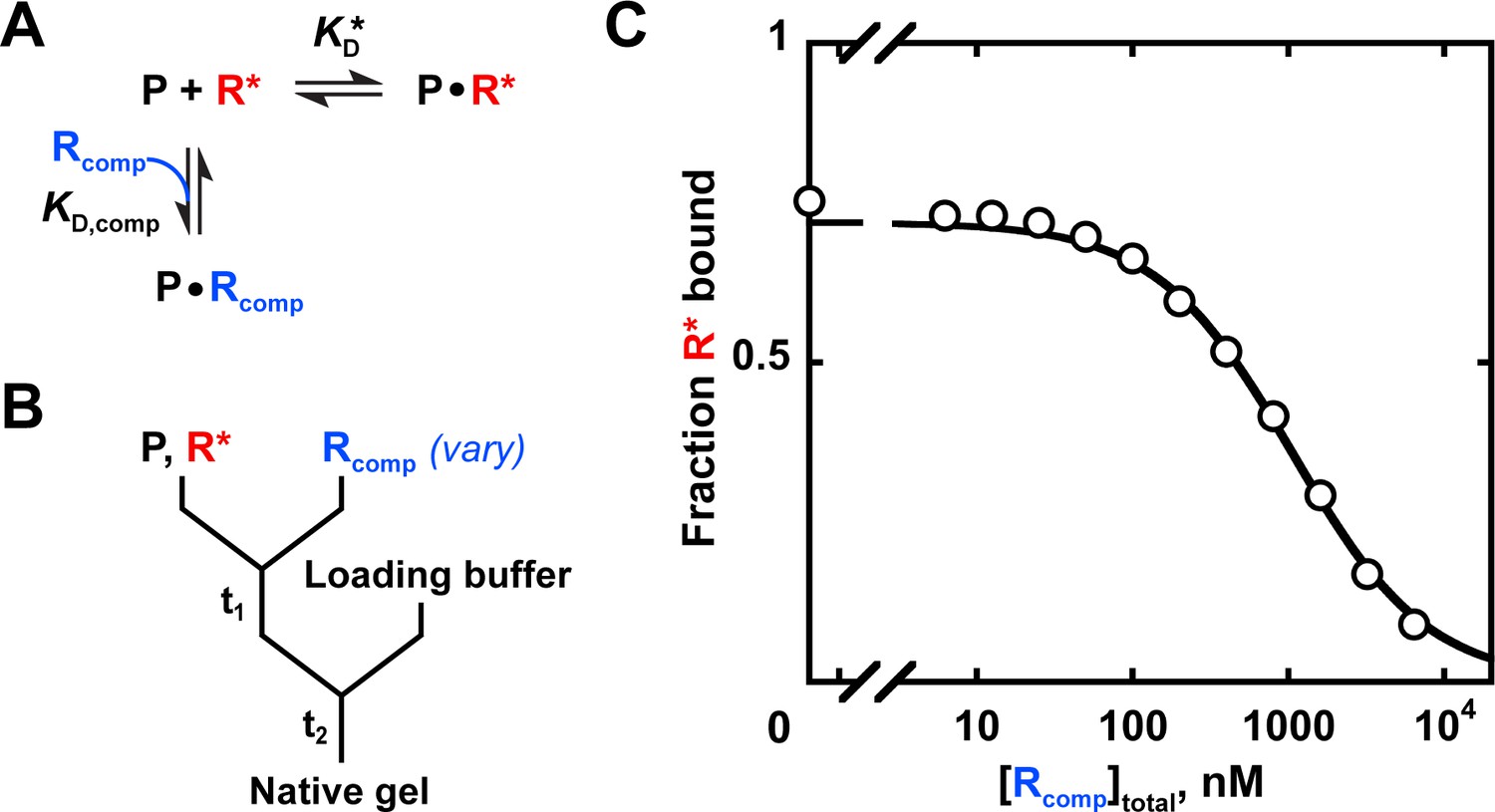 binding affinity experiment