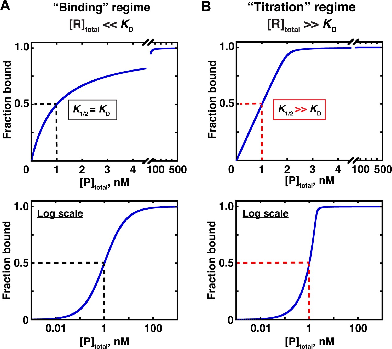 what is binding affinity