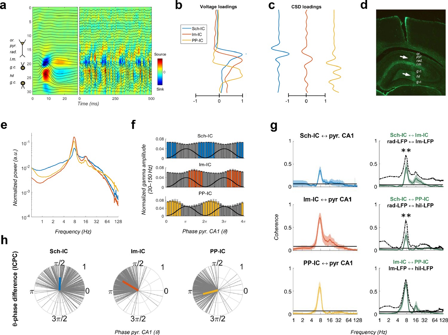 Different Theta Frameworks Coexist In The Rat Hippocampus And Are