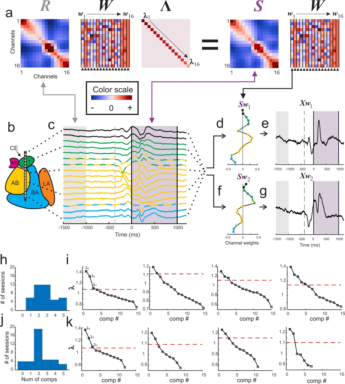 Figures And Data In Mesoscopic Scale Functional Networks In The Primate