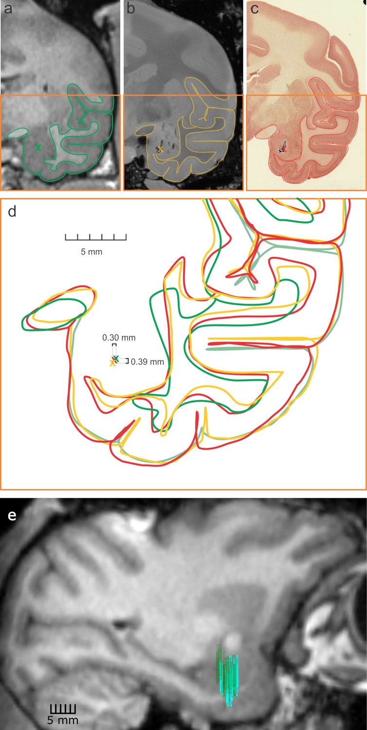 Figures And Data In Mesoscopic Scale Functional Networks In The Primate