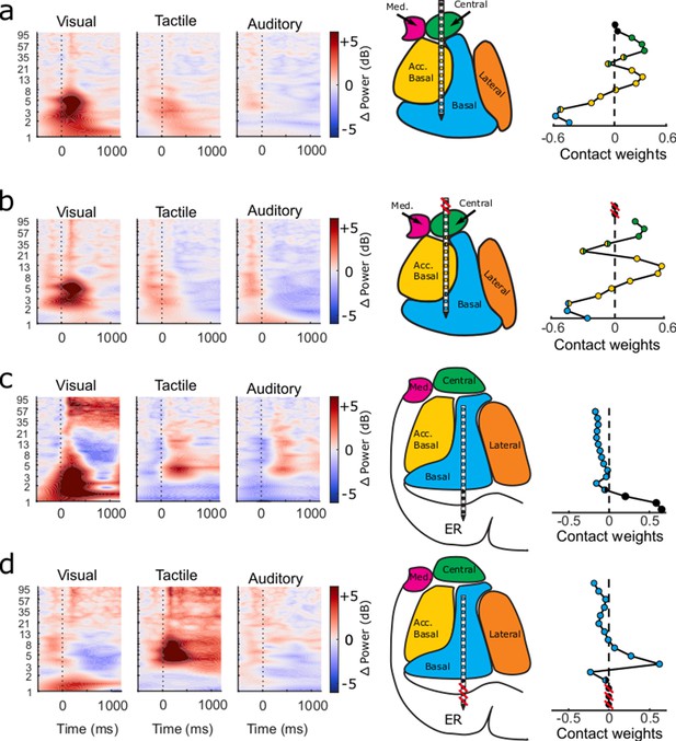 Figures and data in Mesoscopic-scale functional networks in the primate ...