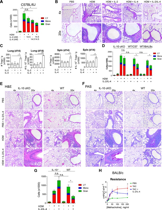 Integration of IL-2 and IL-4 signals coordinates divergent regulatory T ...