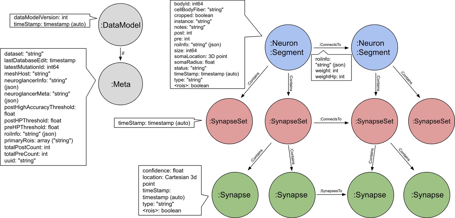 A Connectome And Analysis Of The Adult Drosophila Central Brain Elife