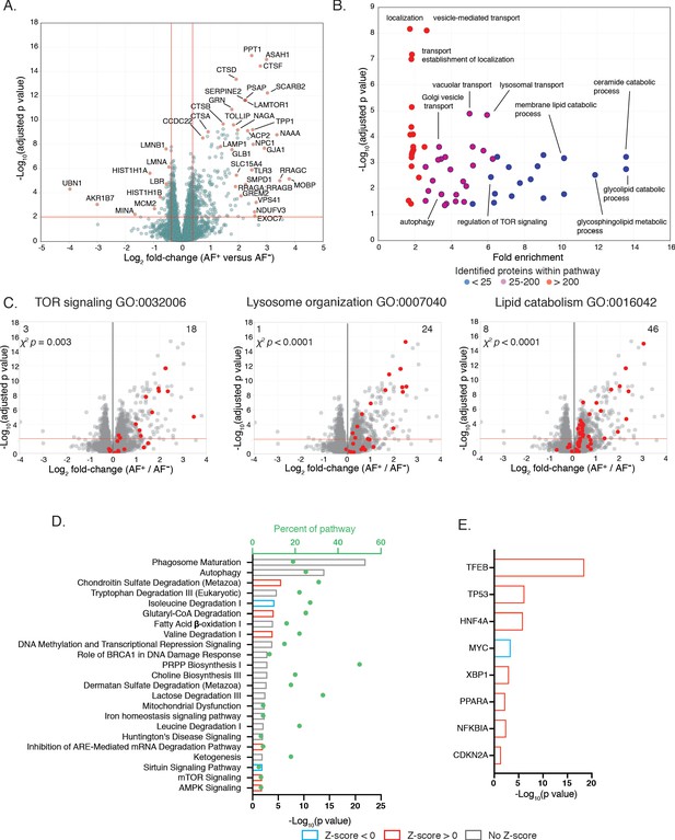 Figures and data in Differential accumulation of storage bodies with ...