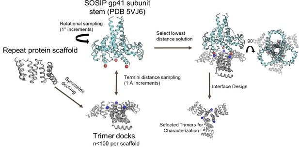 Figures and data in Tailored design of protein nanoparticle scaffolds ...