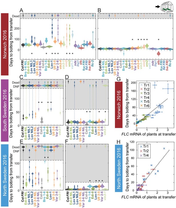 Figures and data in Natural variation in autumn expression is the major ...