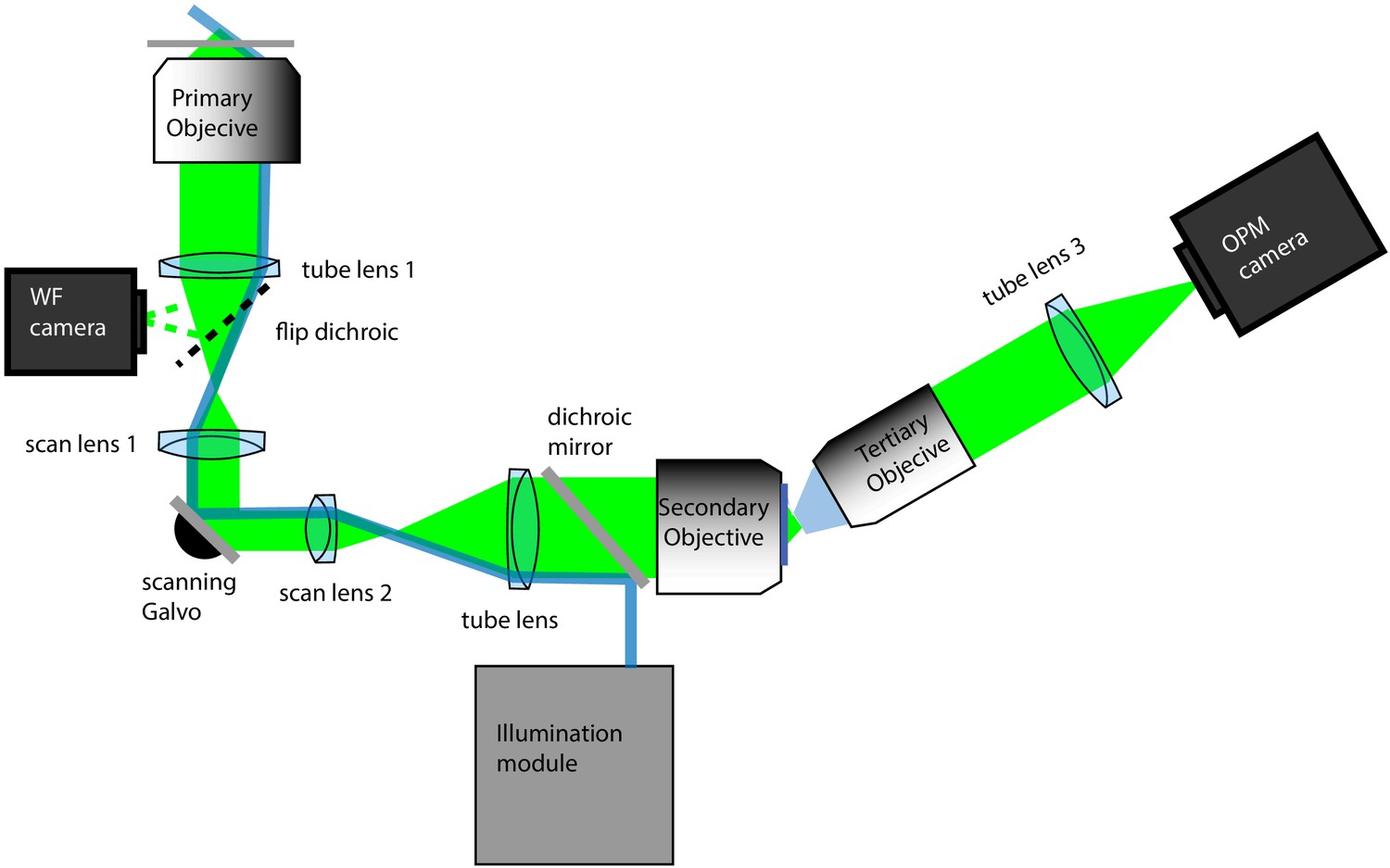 Figures And Data In A Versatile Oblique Plane Microscope For Large ...