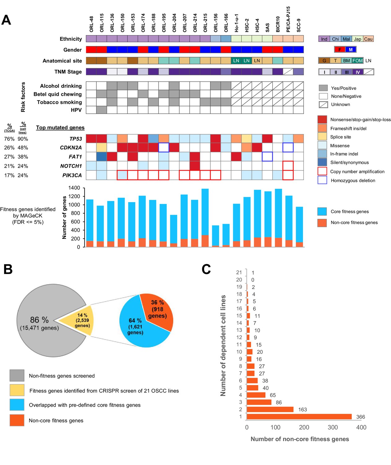 figures-and-data-in-genome-wide-crispr-screens-of-oral-squamous-cell