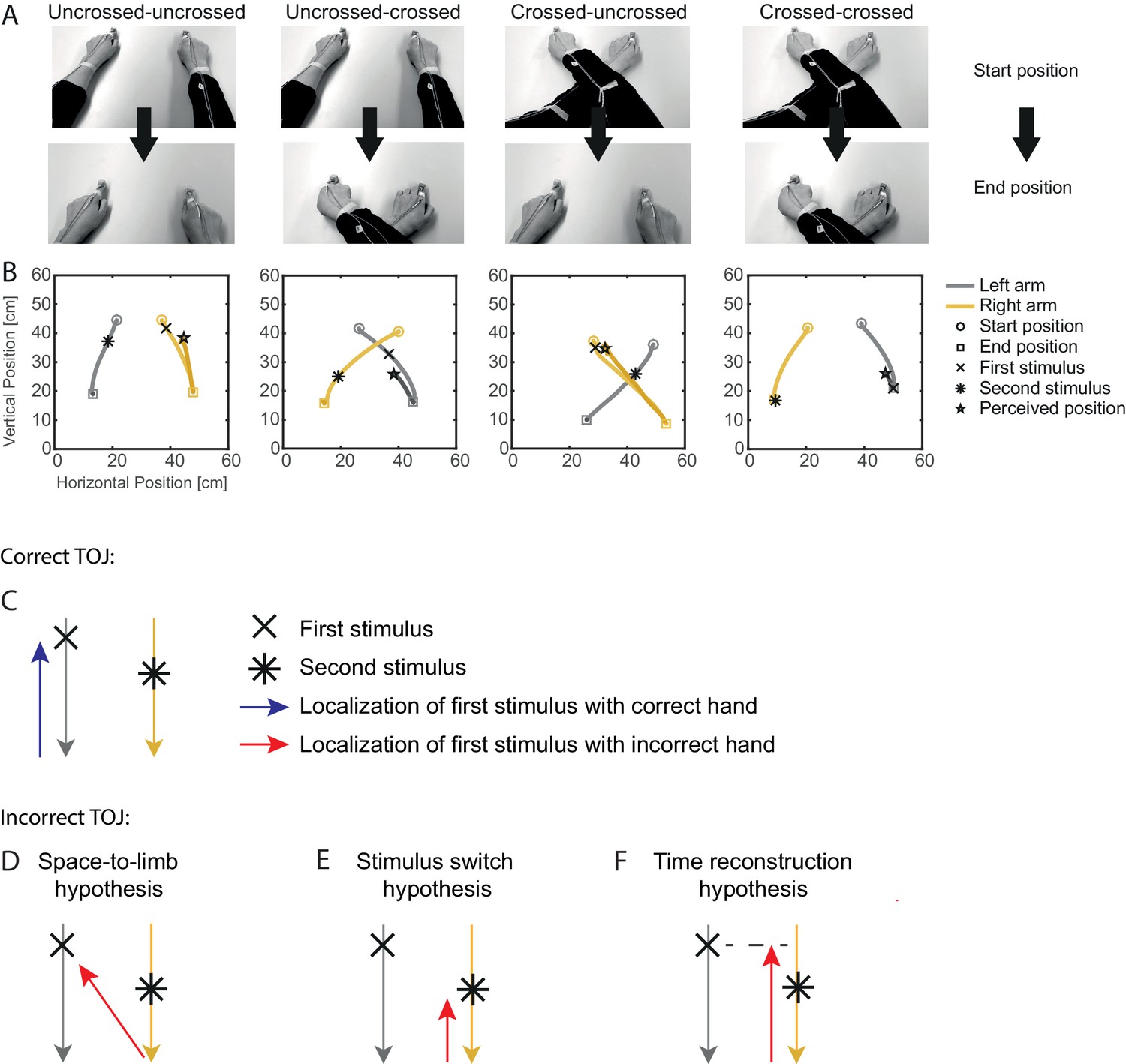 Frontiers  The Tactile-Visual Conflict Processing and Its Modulation by  Tactile-Induced Emotional States: An Event-Related Potential Study