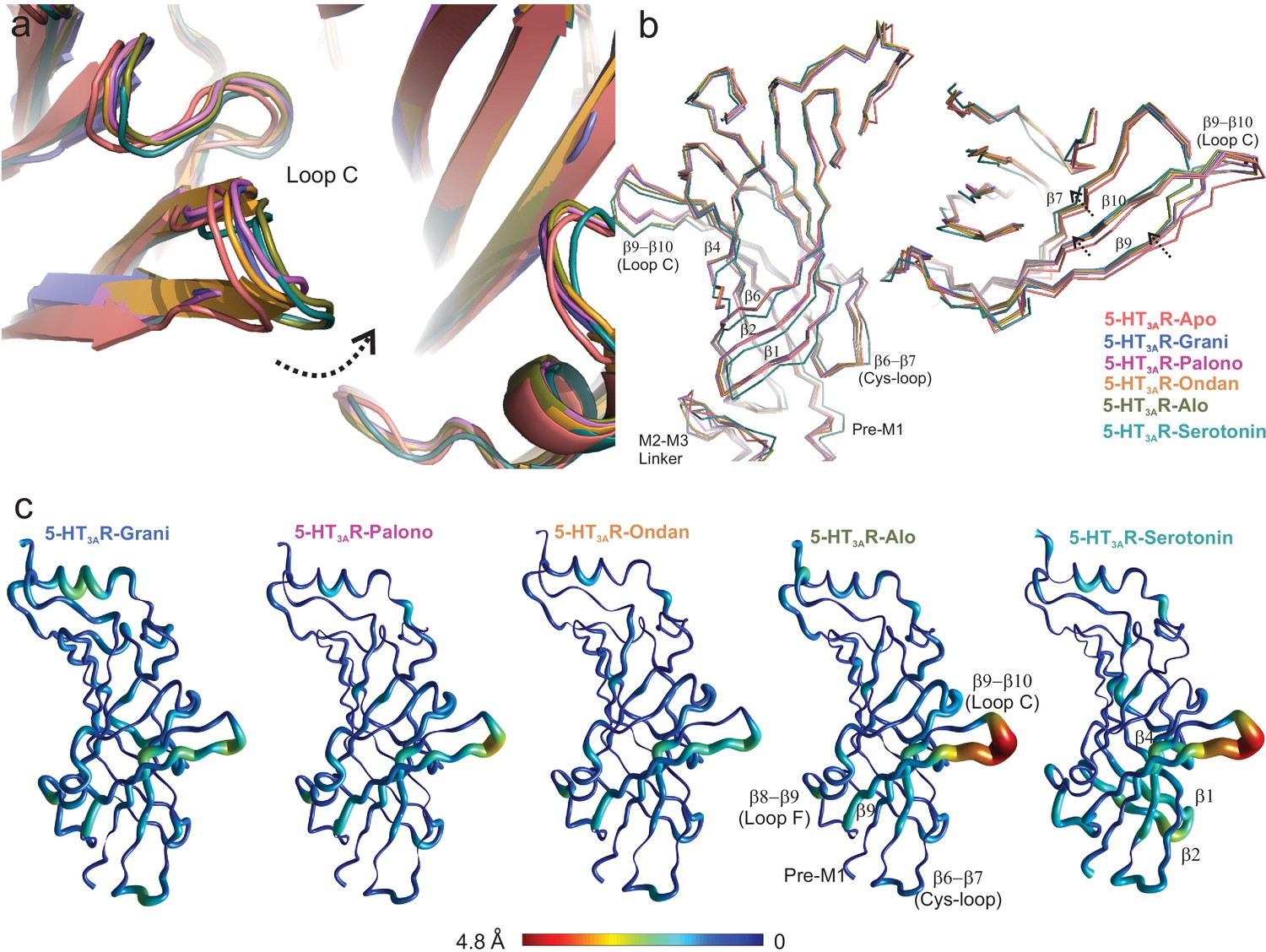 High Resolution Structures Of Multiple 5 Ht3ar Setron Complexes Reveal A Novel Mechanism Of Competitive Inhibition Elife