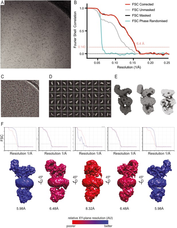 Figures And Data In The Architecture Of EMC Reveals A Path For Membrane ...