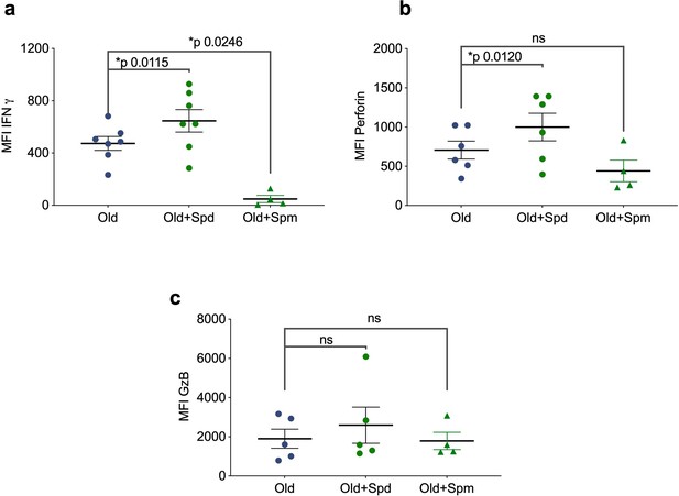 Figures and data in Autophagy in T cells from aged donors is maintained ...