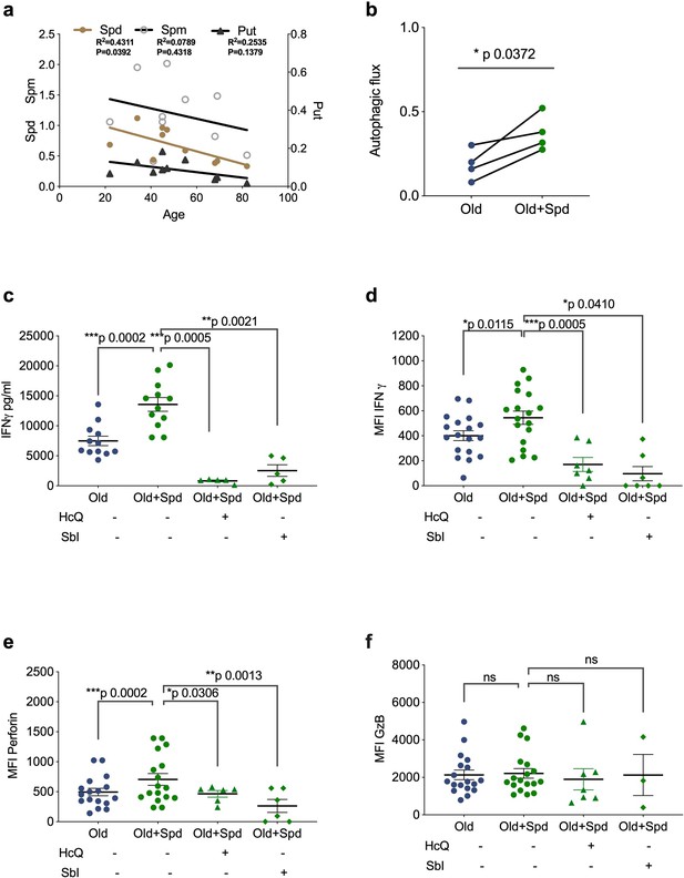 Autophagy in T cells from aged donors is maintained by spermidine and ...