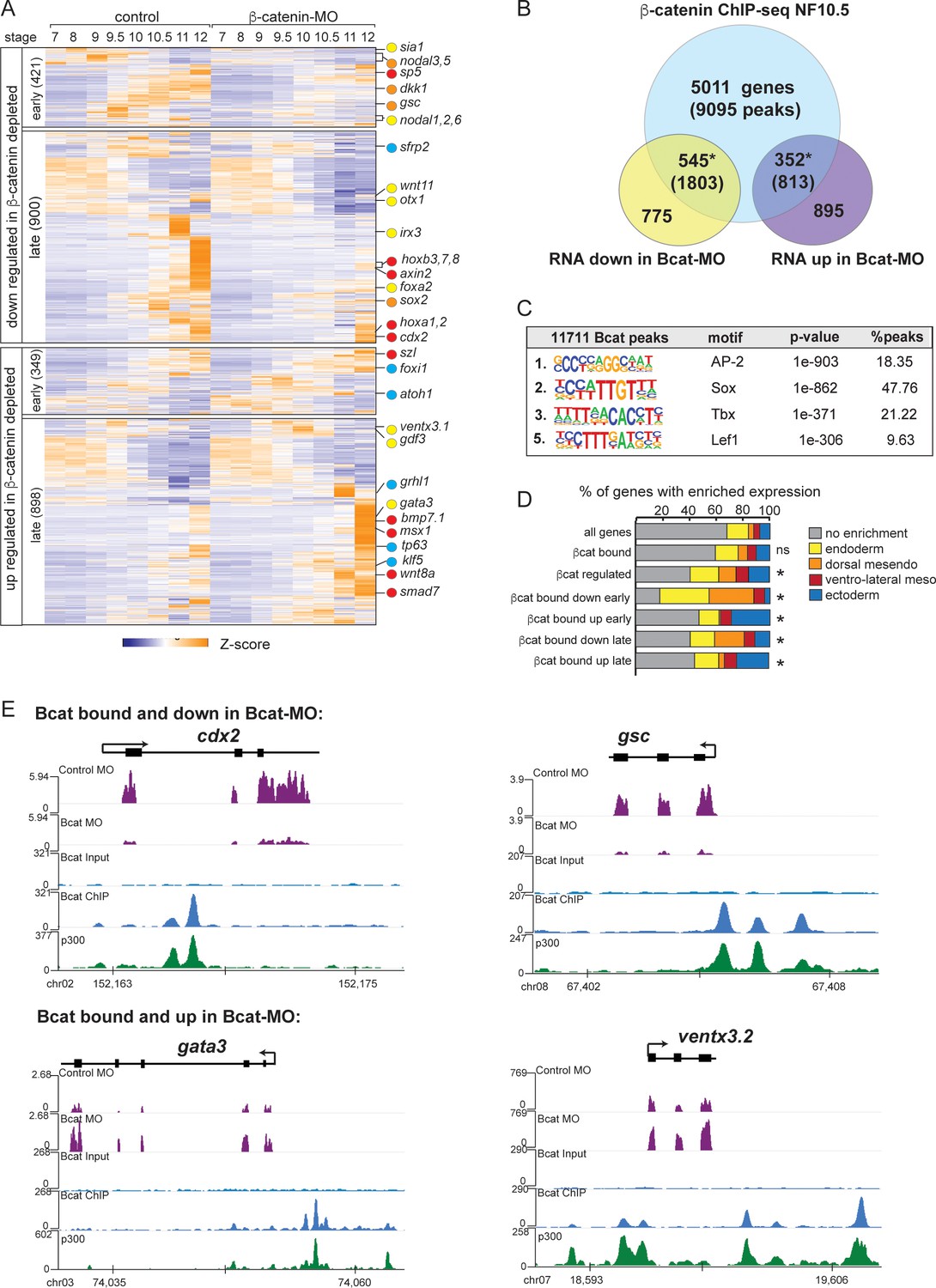 Sox17 And B Catenin Co Occupy Wnt Responsive Enhancers To Govern The Endoderm Gene Regulatory Network Elife