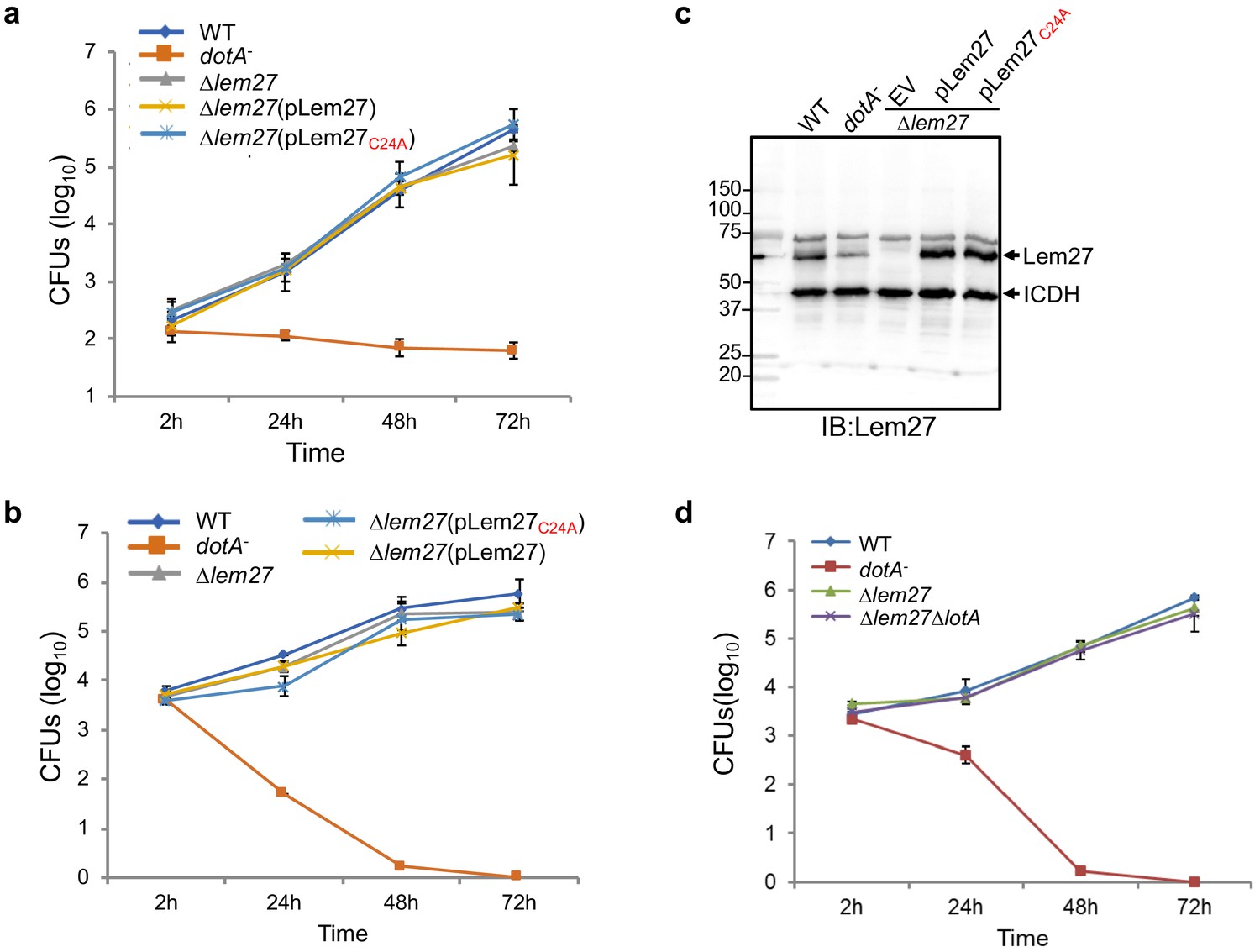 Figures And Data In Interplay Between Bacterial Deubiquitinase And