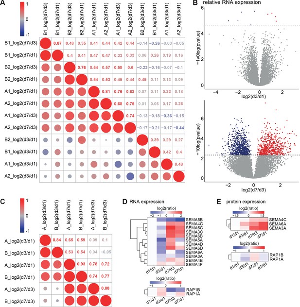 Figures And Data In Quantitative Mapping Of Transcriptome And Proteome ...