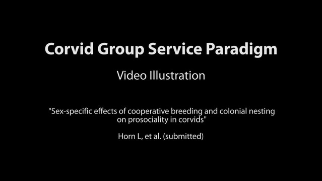 Sex-specific effects of cooperative breeding and colonial nesting ...