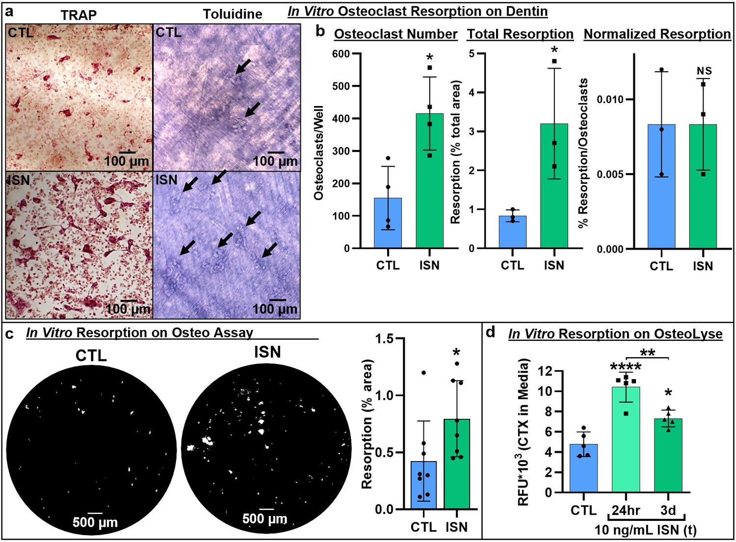 Irisin Directly Stimulates Osteoclastogenesis And Bone Resorption In