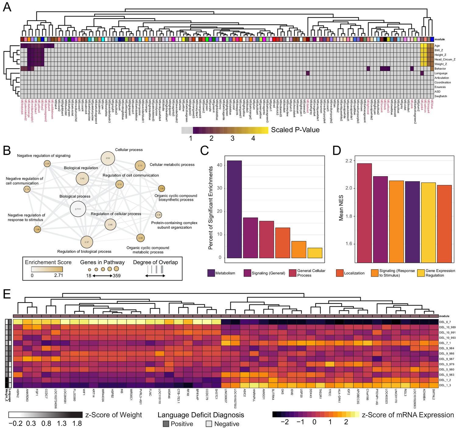 Figures And Data In 16p11.2 Microdeletion Imparts Transcriptional ...