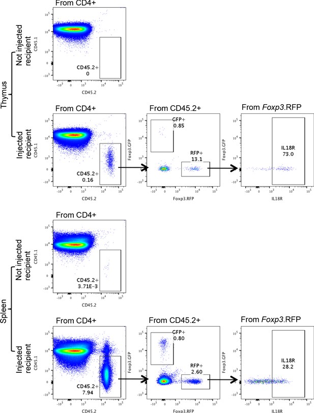 Figures and data in IL18 signaling promotes homing of mature Tregs into ...