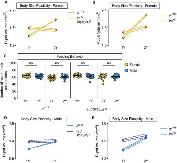 Figures And Data In Female Biased Upregulation Of Insulin Pathway Activity Mediates The Sex 3638