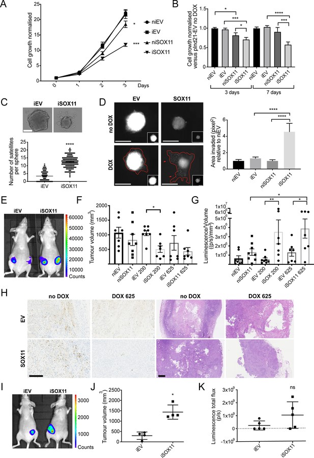 Figures And Data In Sox Promotes Epithelial Mesenchymal Hybrid State