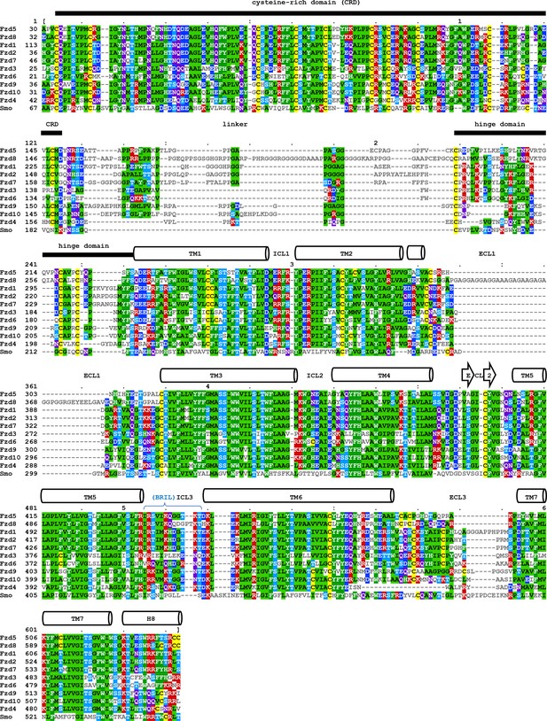 Figures And Data In Structure Of Human Frizzled5 By Fiducial Assisted