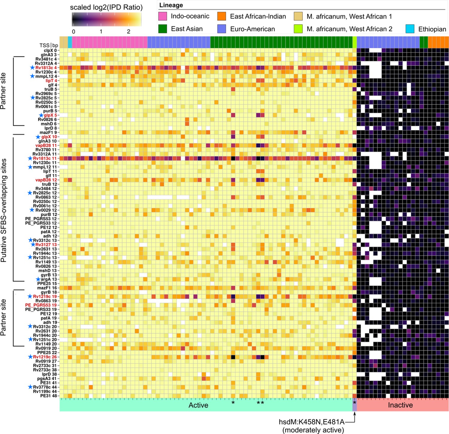 Drivers And Sites Of Diversity In The Dna Adenine Methylomes Of 93 Mycobacterium Tuberculosis Complex Clinical Isolates Elife