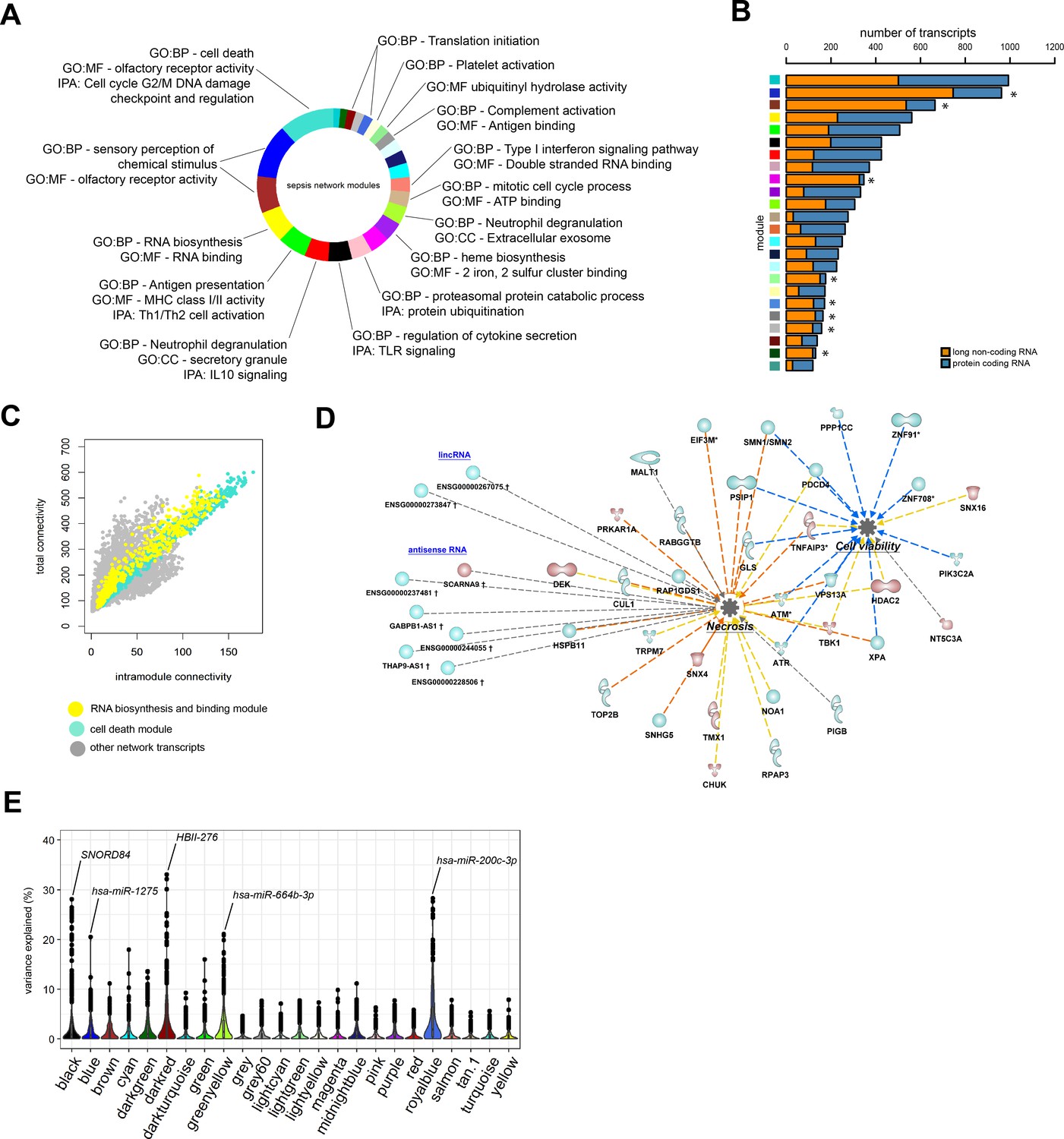 Figures and data in The leukocyte non-coding RNA landscape in ...