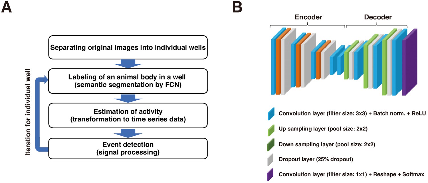 The Drosophila Individual Activity Monitoring and Detection System  (DIAMonDS) | eLife